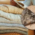 Hur man blir av med malar i skåp: bara en